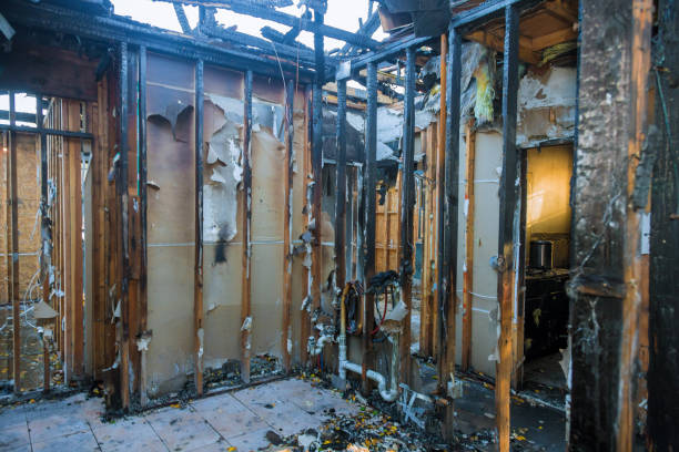 Professional Fire Damage Removal technician working in Cypress Gardens, FL